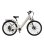 Bicicleta Eletrica Urbana Velopro C1 250 W Bateria 36V 13Ah
