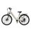 Bicicleta Eletrica Urbana Velopro C1 250 W Bateria 36V 13Ah