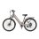 Bicicleta Elétrica VELOPRO C1 250 W Bateria 36 V 13 Ah Portaequipagens