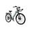 Bicicletta Elettrica Velopro C1pro 250W 36V 18Ah Potenza Regolabile