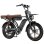 Bicicletta Elettrica VELOPRO M9 250W 48V 35Ah 20 Pollici Pneumatici Larghi Nero