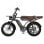 Bicicletta Elettrica VELOPRO M9 250W 48V 35Ah 20 Pollici Pneumatici Larghi Nero