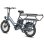 Siege Double Enfant FF20 CUV Fafrees velo bleu 30Ah