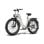 Velo electrique Fafrees F26 Rover Gris 48V 20Ah