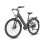 Bicicletta elettrica Kingbull Lira 48V 15Ah 140km 28" Grigia