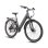 Bicicletta elettrica Kingbull Lira 48V 15Ah 140km 28" Grigia