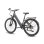 Bicicletta elettrica Kingbull Lira 48V 15Ah 140km 28" Grigia