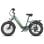 Bicicleta Eletrica Fafrees F20 Rover 48V20Ah 75-100km Verde