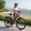 Kaisda K608 E-Bike 350W 36V20Ah Grau 28 Zoll