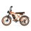 Bicicletta Elettrica PVY A20 48V20Ah 80km 20x4.0'' 25km/h Arancione