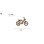 Bicicletta Elettrica PVY A20 48V20Ah 80km 20x4.0'' 25km/h Arancione
