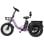 Elektrofahrrad Eskute T302 Pro 250W 48V 20,8Ah klappbar lila