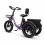 Elektrofahrrad Eskute T302 Pro 250W 48V 20,8Ah klappbar lila