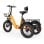 Triciclo PVY F20 48V21Ah 80km Arancione