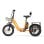 Triciclo PVY F20 48V21Ah 80km Arancione