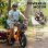 Bicicleta Electrica Kingbull Voyager 2.0 48V15Ah