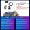 Autoradio JUNSUN 9'' CarPlay Android15 2+64 GB SWC DAB+