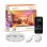 Ruban LED Lepro SW1G06 RGB WiFi Bluetooth