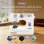 Machine a coudre Nobrand Multifonction Double Aiguille Violet 6 V