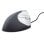 Souris BakkerElkhuizen HANDSHAKE USB 3200 DPI Noir Argent Gaucher