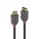 Cable DisplayPort 1.4 Lindy Anthra Line 1 m