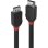 Cable DisplayPort Lindy 1.2 - Noir 1,5 m