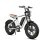 Elektrische fiets ENGWE M20 750 W 20" banden 48 V 13 Ah