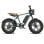Engwe M20 Elektrische fiets 750 W 20 inch IPX5 70 km