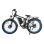 Vélo électrique Baolujie DP-2603 3000W 48V 25Ah Freins hydrauliques 26x4.0