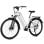 Bicicletta Elettrica Hedatx Paselec TX10 250W 48V 19,2Ah 7 velocita
