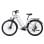 Bicicletta Elettrica Hedatx Paselec TX10 250W 48V 19,2Ah 7 velocita