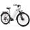 Bicicletta Elettrica Hedatx Paselec TX10 250W 48V 19,2Ah 7 velocita