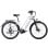 Bicicletta Elettrica Hedatx Paselec TX10 250W 48V 19,2Ah 7 velocita