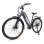Veloce Elettrico Hedatx Paselec TX10 250W 48V 19,2Ah Grigio