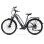 Veloce Elettrico Hedatx Paselec TX10 250W 48V 19,2Ah Grigio