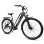 Veloce Elettrico Hedatx Paselec TX10 250W 48V 19,2Ah Grigio