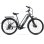 Veloce Elettrico Hedatx Paselec TX10 250W 48V 19,2Ah Grigio