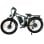 Vélo électrique Baolujie DP-2603 1500W x 2