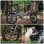 Velo electrique Onebot S9-eagle 250W Shimano 6 vitesses 20 pouces