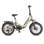 Bicicleta Eléctrica ENGWE L20 3.0 PRO Plegable Motor 250 W Batería 48 V 15 Ah