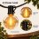 Guirnalda luminosa Blossom G40 de 30 m con mando, luz cálida e IP44
