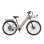 Bici elettrica Velopro C1 Pro Champagne 250W 36V 18Ah