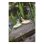 Voilier-jouet Eichhorn Sailing Boot bois flottant 2 pièces