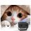 Proyector Blow MaxView Black Full HD 650 Lúmenes 150" LED Wi-Fi Portátil