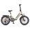 Bicicleta Eléctrica ENGWE L20 3.0 Boost Motor 250 W Batería 48 V 13,5 Ah Plegable