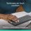 Tastatur Logitech Keys-To-Go 2 Tragbar Wireless AZERTY Graphit
