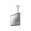 NewStar FPMA-C200 Soporte monitor de techo 10-40" VESA 75x75-200x200 máx. 20 kg