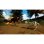 Warrior Cats Clans of the Forest Switch