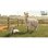 Farming Simulator 25: Beans & Alpacas Edition - PC