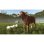Farming Simulator 25: Beans & Alpacas Edition - PC